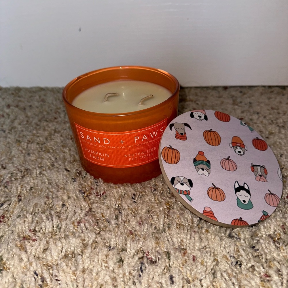 Sand and fog paws 🐾 pumpkin 🎃 farm holiday fall candle - Picture 2 of 9